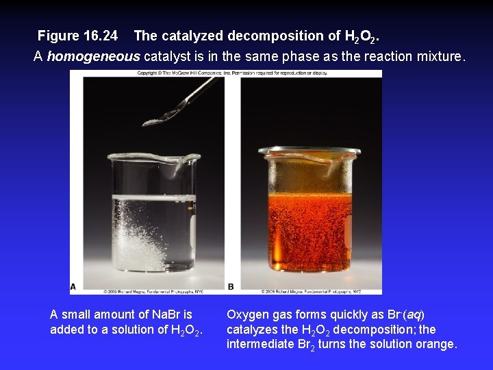 Figure 16. 24 The catalyzed decomposition of H 2 O 2. A homogeneous catalyst