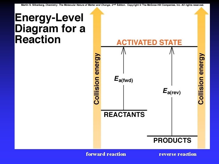 forward reaction reverse reaction 