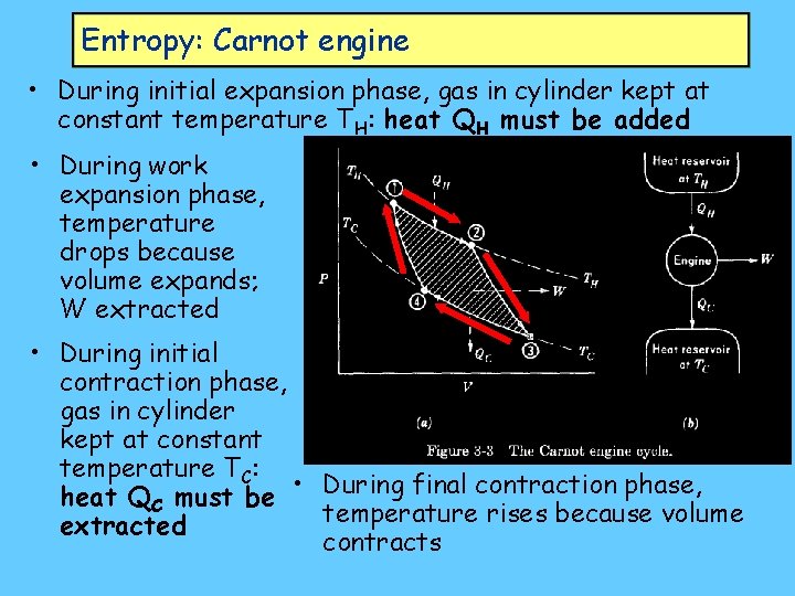 Entropy: Carnot engine • During initial expansion phase, gas in cylinder kept at constant