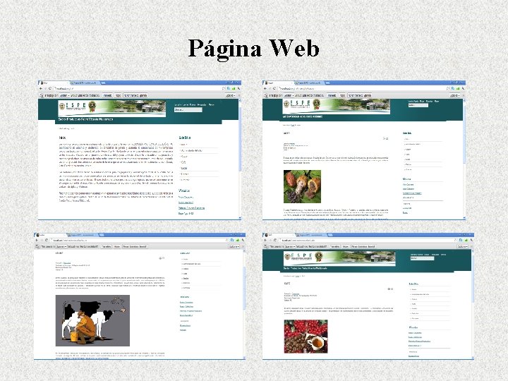 Página Web 