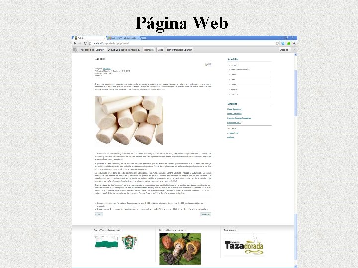 Página Web 