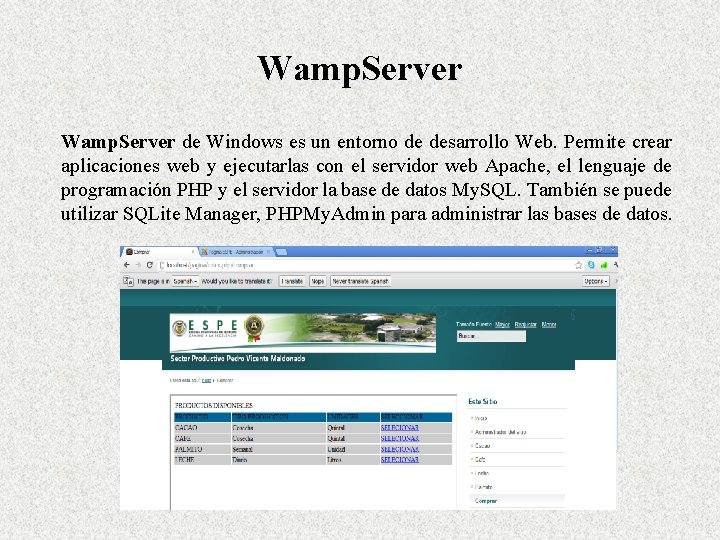 Wamp. Server de Windows es un entorno de desarrollo Web. Permite crear aplicaciones web