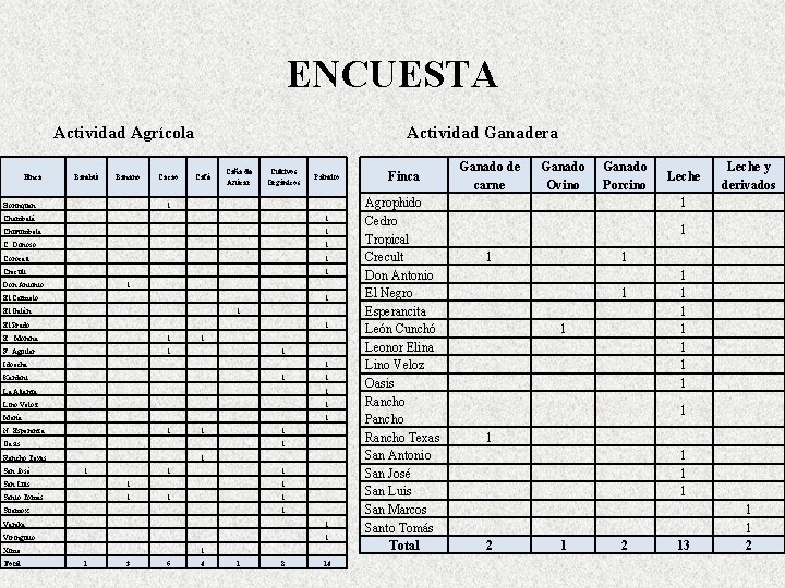 ENCUESTA Actividad Agrícola Finca Bambú Banano Borinquen Cacao Actividad Ganadera Café Caña de Azúcar