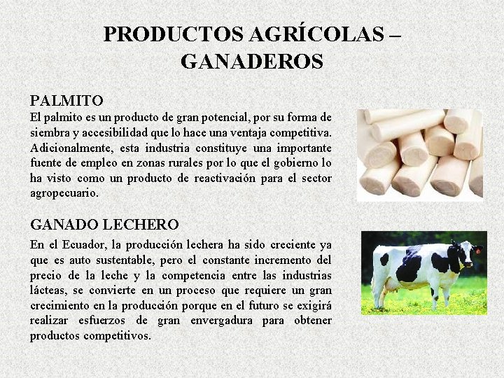 PRODUCTOS AGRÍCOLAS – GANADEROS PALMITO El palmito es un producto de gran potencial, por