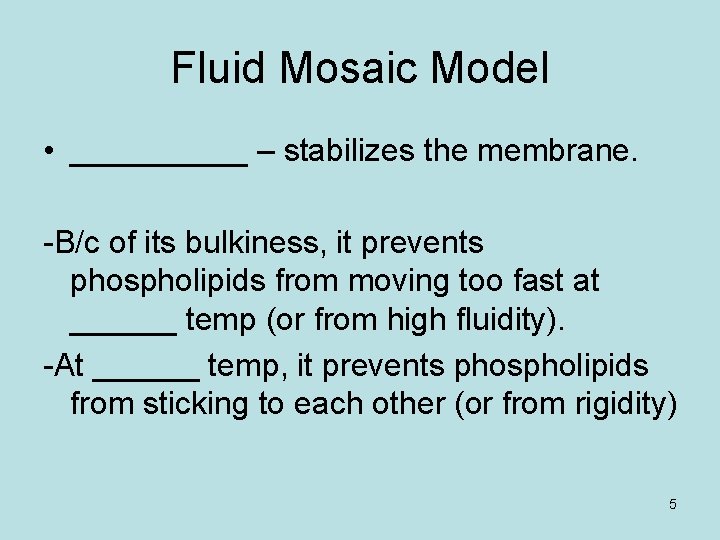 Fluid Mosaic Model • _____ – stabilizes the membrane. -B/c of its bulkiness, it