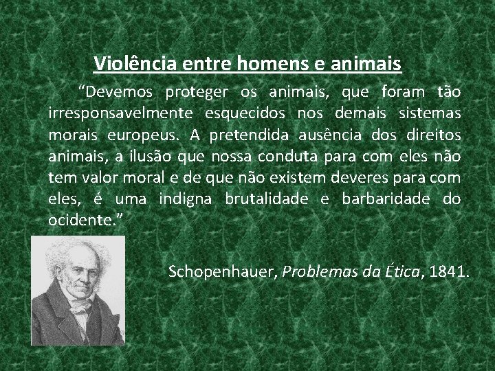 Violência entre homens e animais “Devemos proteger os animais, que foram tão irresponsavelmente esquecidos