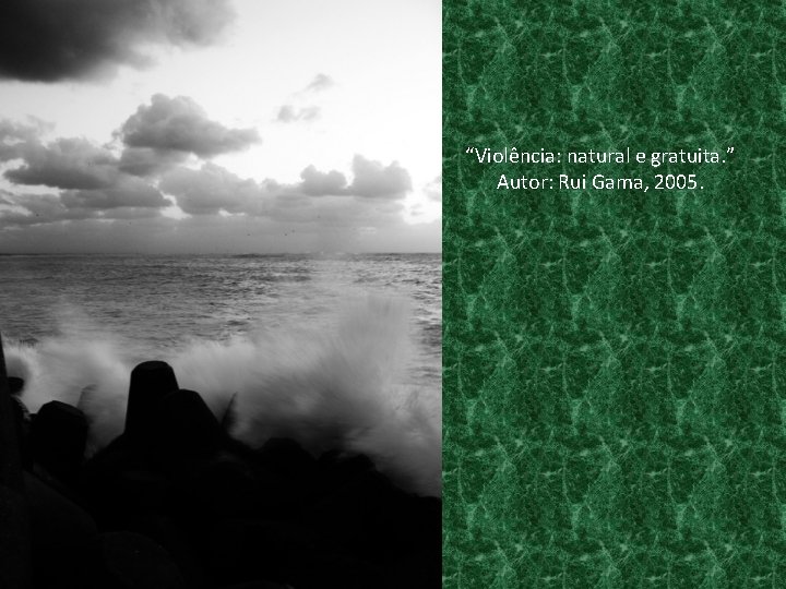 “Violência: natural e gratuita. ” Autor: Rui Gama, 2005. 