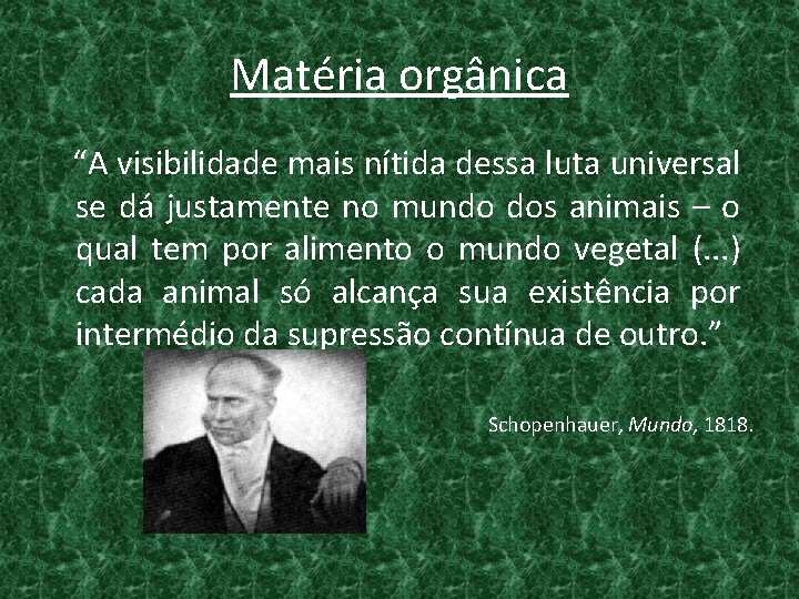 Matéria orgânica “A visibilidade mais nítida dessa luta universal se dá justamente no mundo