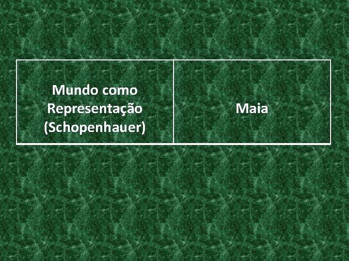 Mundo como Representação (Schopenhauer) Maia 