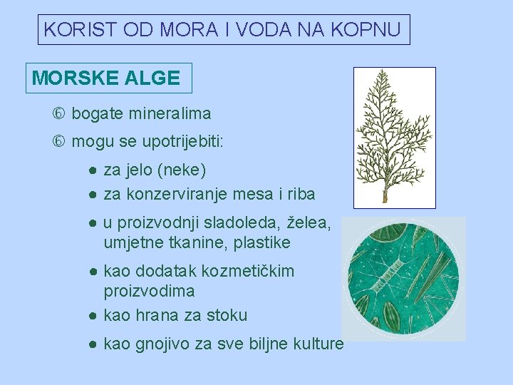 KORIST OD MORA I VODA NA KOPNU MORSKE ALGE bogate mineralima mogu se upotrijebiti: