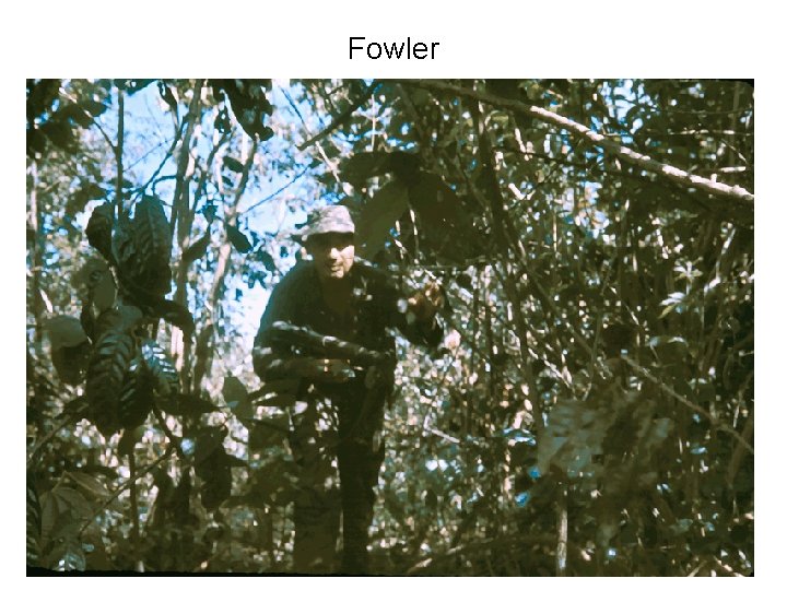 Fowler Fowler