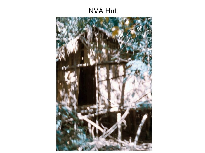 NVA Hut NVA Hut
