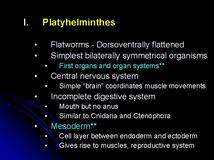 I. Platyhelminthes • • Flatworms - Dorsoventrally flattened Simplest bilaterally symmetrical organisms • •