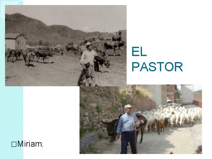 EL PASTOR �Miriam. 