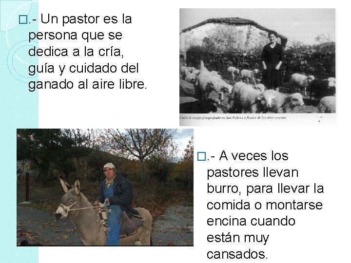 �. - Un pastor es la persona que se dedica a la cría, guía