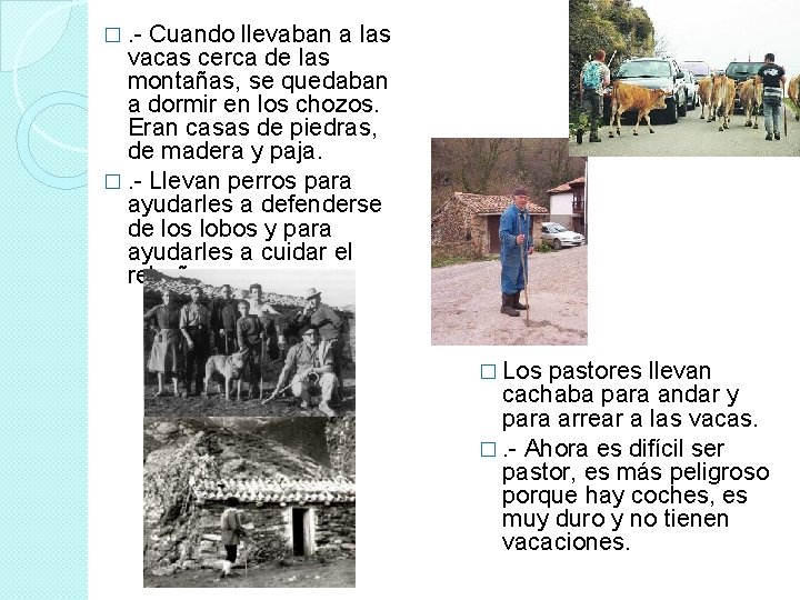 �. - Cuando llevaban a las vacas cerca de las montañas, se quedaban a