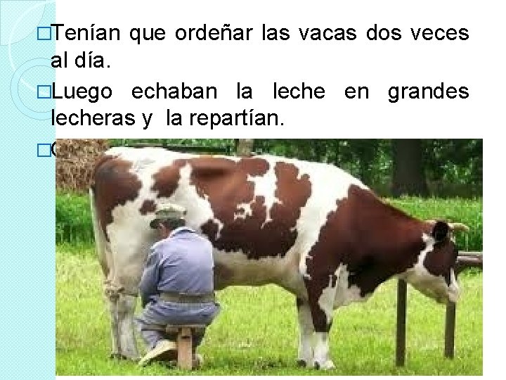 �Tenían que ordeñar las vacas dos veces al día. �Luego echaban la leche en