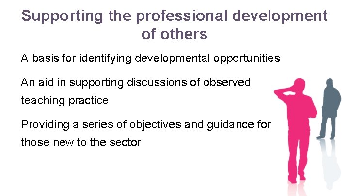 Supporting the professional development of others A basis for identifying developmental opportunities An aid