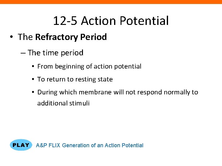 12 -5 Action Potential • The Refractory Period – The time period • From