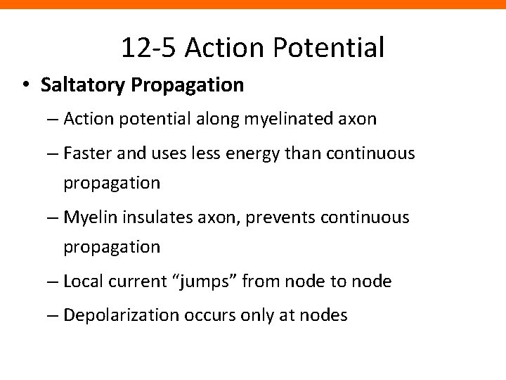 12 -5 Action Potential • Saltatory Propagation – Action potential along myelinated axon –