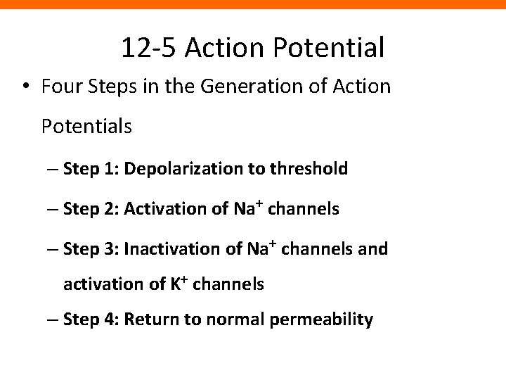 12 -5 Action Potential • Four Steps in the Generation of Action Potentials –