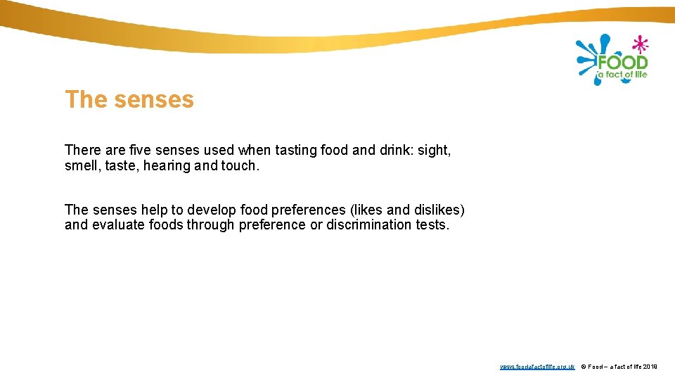 The senses There are five senses used when tasting food and drink: sight, smell,