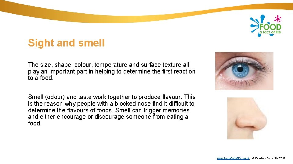 Sight and smell The size, shape, colour, temperature and surface texture all play an