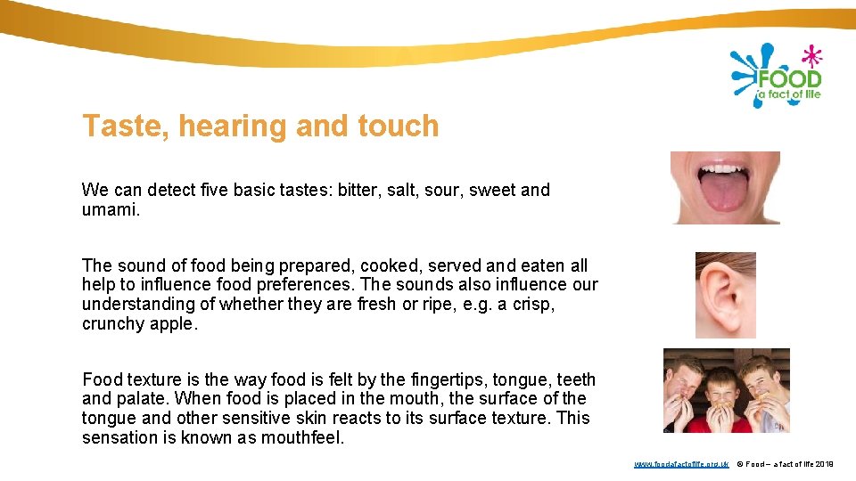Taste, hearing and touch We can detect five basic tastes: bitter, salt, sour, sweet