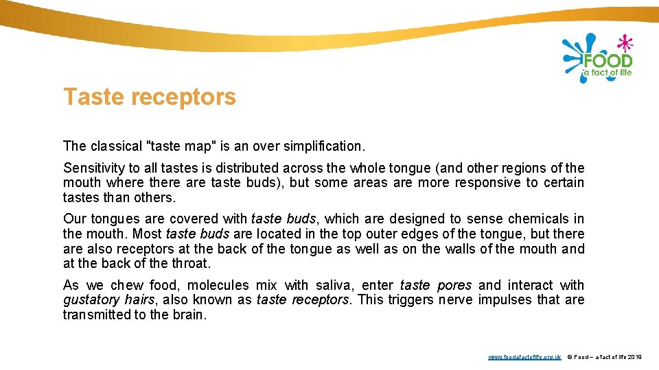 Taste receptors The classical "taste map" is an over simplification. Sensitivity to all tastes