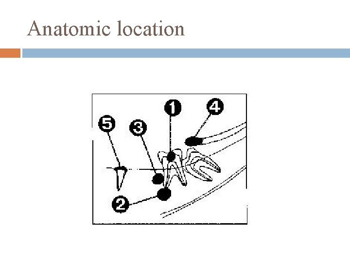 Anatomic location 