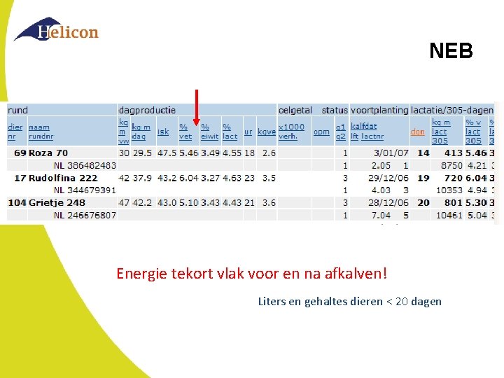 NEB Energie tekort vlak voor en na afkalven! Liters en gehaltes dieren < 20