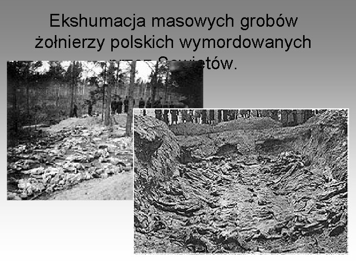 Ekshumacja masowych grobów żołnierzy polskich wymordowanych przez Sowietów. 