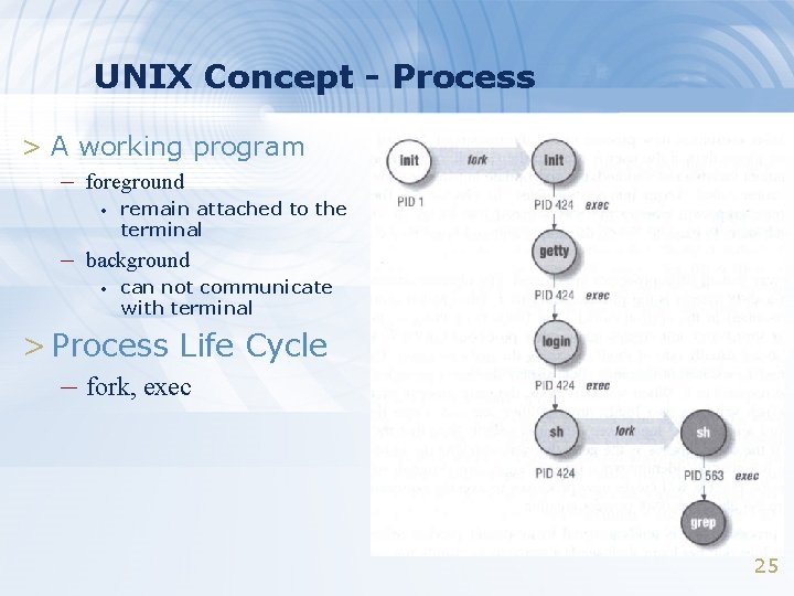 UNIX Concept - Process > A working program – foreground • remain attached to