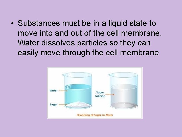  • Substances must be in a liquid state to move into and out
