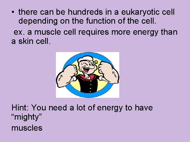  • there can be hundreds in a eukaryotic cell depending on the function