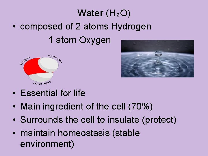 Water (H₂O) • composed of 2 atoms Hydrogen 1 atom Oxygen • • Essential