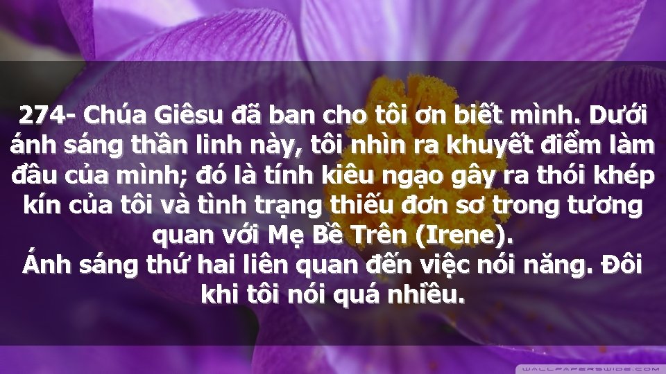 274 - Chúa Giêsu đã ban cho tôi ơn biết mình. Dưới ánh sáng