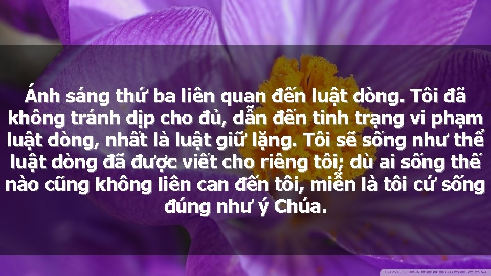 Ánh sáng thứ ba liên quan đến luật dòng. Tôi đã không tránh dịp
