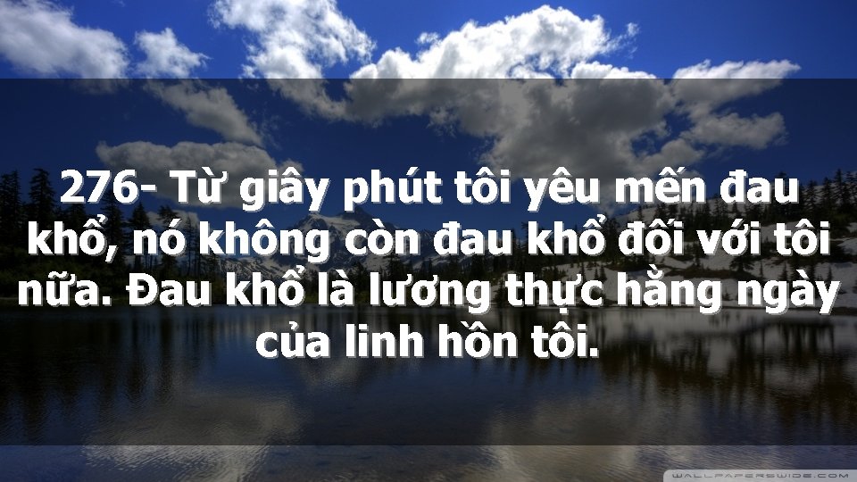 276 - Từ giây phút tôi yêu mến đau khổ, nó không còn đau