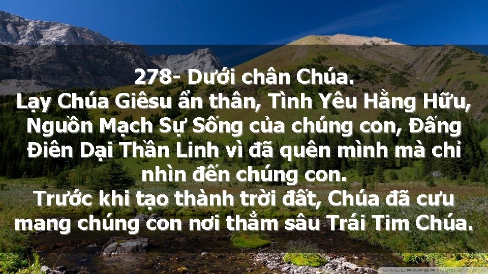 278 - Dưới chân Chúa. Lạy Chúa Giêsu ẩn thân, Tình Yêu Hằng Hữu,