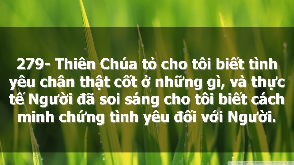 279 - Thiên Chúa tỏ cho tôi biết tình yêu chân thật cốt ở