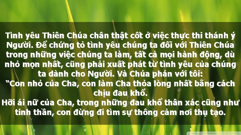 Tình yêu Thiên Chúa chân thật cốt ở việc thực thi thánh ý Người.