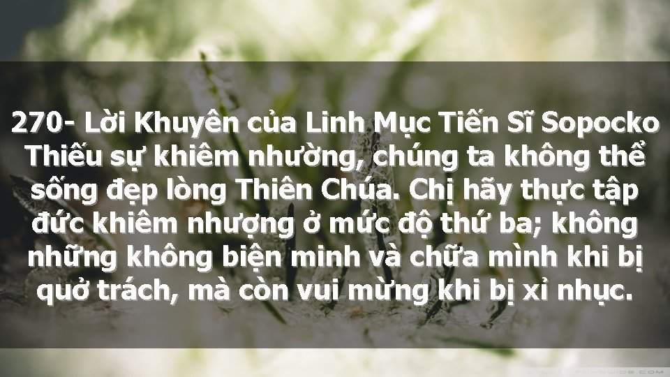 270 - Lời Khuyên của Linh Mục Tiến Sĩ Sopocko Thiếu sự khiêm nhường,