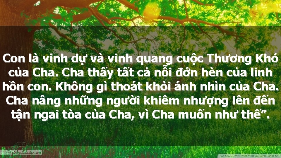 Con là vinh dự và vinh quang cuộc Thương Khó của Cha thấy tất