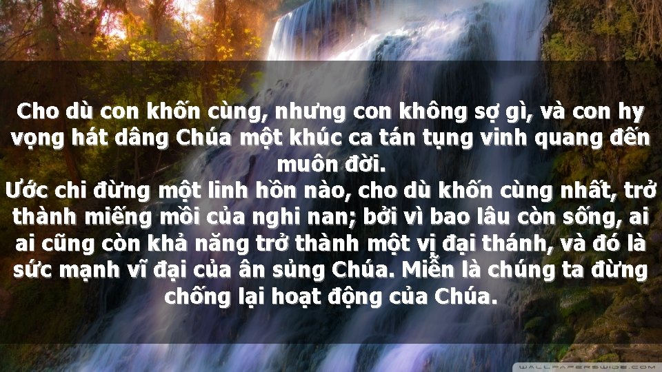Cho dù con khốn cùng, nhưng con không sợ gì, và con hy vọng