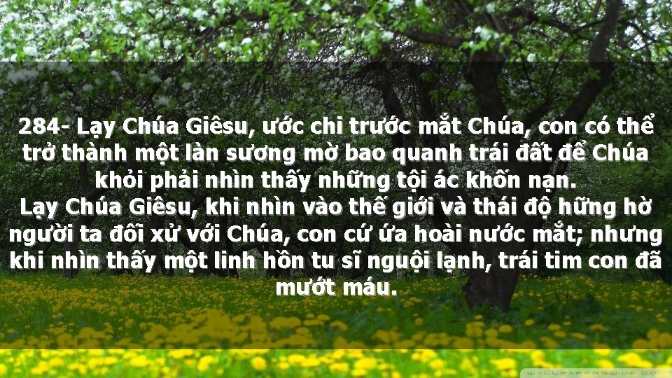 284 - Lạy Chúa Giêsu, ước chi trước mắt Chúa, con có thể trở