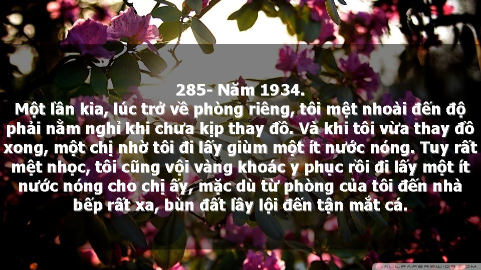 285 - Năm 1934. Một lần kia, lúc trở về phòng riêng, tôi mệt