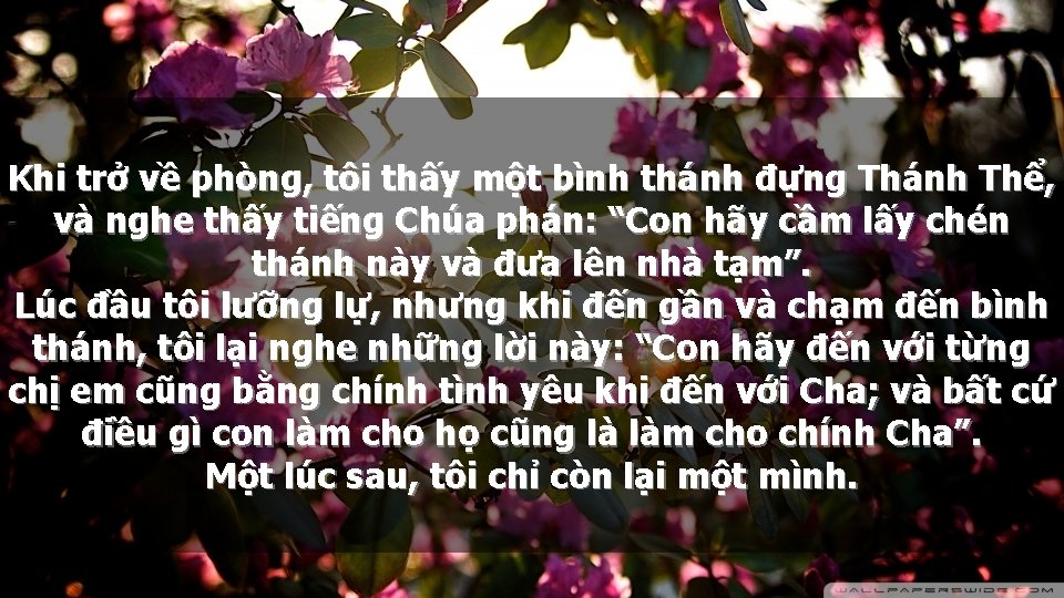 Khi trở về phòng, tôi thấy một bình thánh đựng Thánh Thể, và nghe