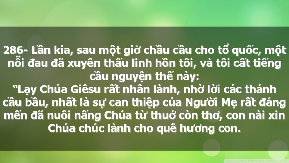 286 - Lần kia, sau một giờ chầu cho tổ quốc, một nỗi đau