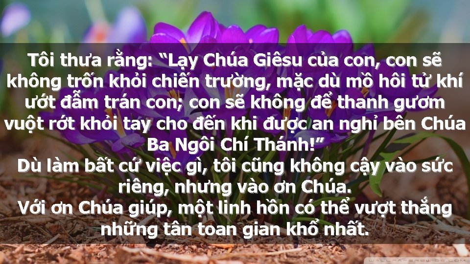 Tôi thưa rằng: “Lạy Chúa Giêsu của con, con sẽ không trốn khỏi chiến